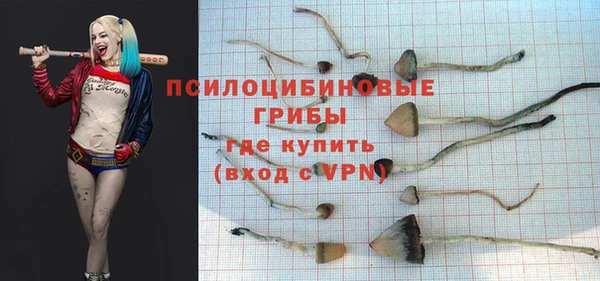 тгк Аркадак