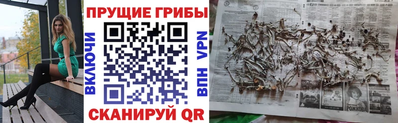 Псилоцибиновые грибы Psilocybine cubensis Мамоново